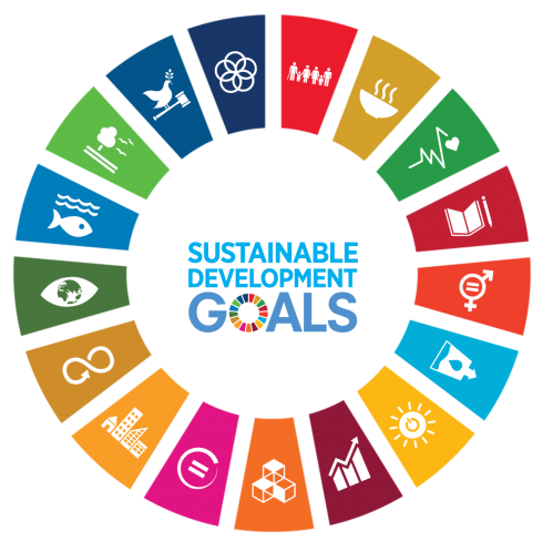 Sustainable Development Goals (SDGs) logo