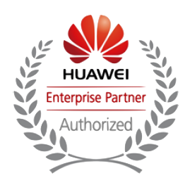 Huawei Enterprise partner